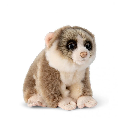 WWF - Loris le paressauex pygmee - 18cm