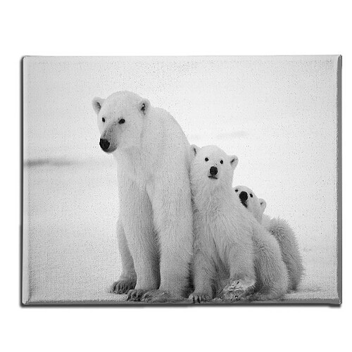 EPIKASA Impression sur Toile Famille d'Ours, Multicouleur, Polyester, 70x3x45 cm