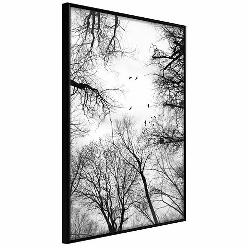 Paris Prix Affiche Murale Encadrée Treetops 30 x 45 cm Noir