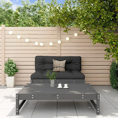 vidaXL Salon de jardin 2 pcs avec coussins gris bois massif