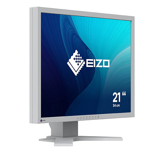 EIZO FlexScan S2134 écran plat de PC 54,1 cm (21.3') 1600 x 1200 pixels LCD Gris