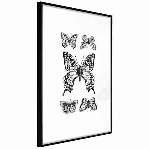 Paris Prix Affiche Murale Encadrée Butterfly Collection IV 20 x 30 cm Noir