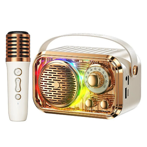 Yonis Enceinte Bluetooth Karaoke Sans Fil RGB