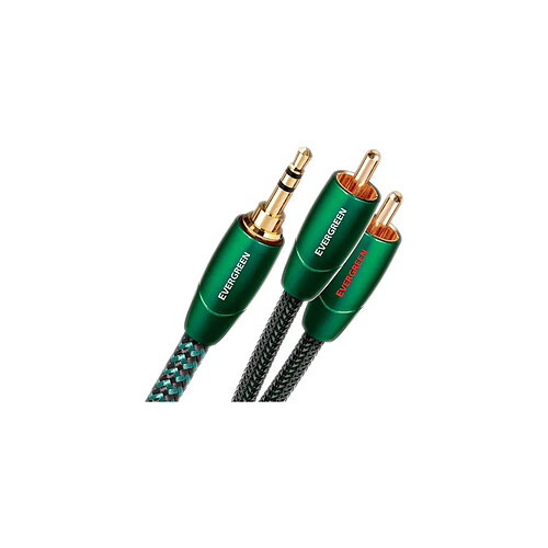 Audioquest Evergreen mini-jack RCA - Câble Mini-jack 3,5 mm vers RCA de 0,6 m