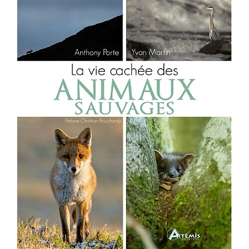 La vie cachée des animaux sauvages · Occasion