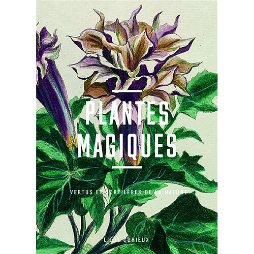 Plantes magiques : vertus et sortilèges de la nature