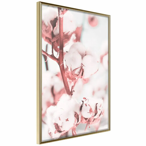 Paris Prix Affiche Murale Encadrée Cotton Flowers 20 x 30 cm Or