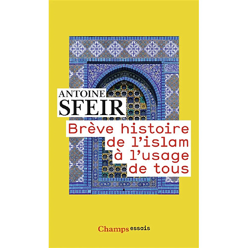 Brève histoire de l'islam à l'usage de tous · Occasion