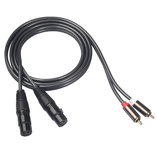 Wewoo 366120-15 Câble audio RCA mâle à 2 XLR à 3 broches femellelongueur 1,5 m