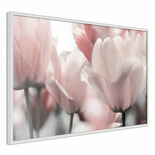 Paris Prix Affiche Murale Encadrée Pastel Tulips II 90 x 60 cm Blanc