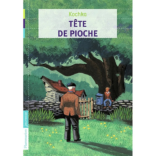 Tête de pioche · Occasion