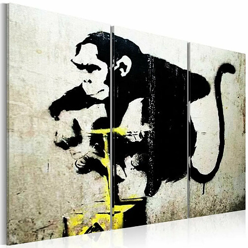 Paris Prix Tableau Imprimé Monkey TNT Detonator - Banksy 60 x 90 cm