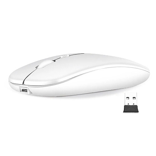 Souris sans fil blanche avec récepteur 2,4 GHz, souris optique réglable sans fil, souris rechargeable