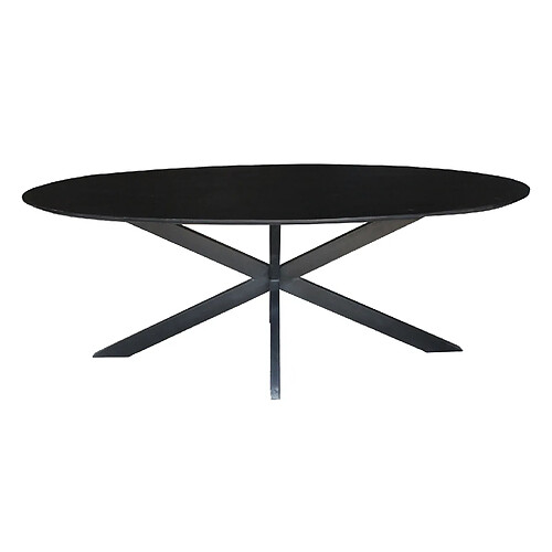 Moloo URBAN-Table à manger ovale 10/12 personnes L240, Spider et Acacia noir