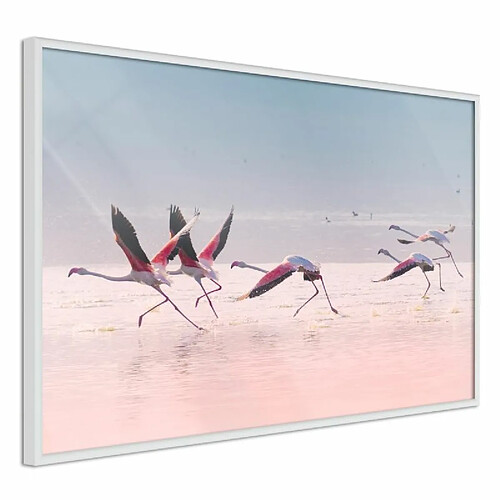 Paris Prix Affiche Murale Encadrée Flamingos Breaking into a Flight 90 x 60 cm Blanc