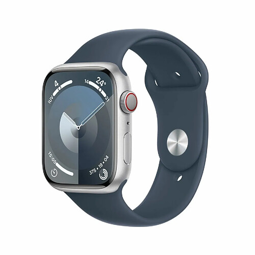 Montre intelligente Apple MRMG3QL/A Argent 45 mm