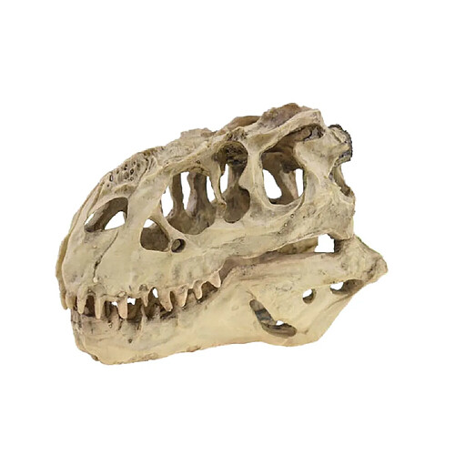 Universal Tyrannosaurus Rex Skull Cave View Decoration Aquarium Resin Dinosaur Skull Model Decoration Home Decoration | Décorations