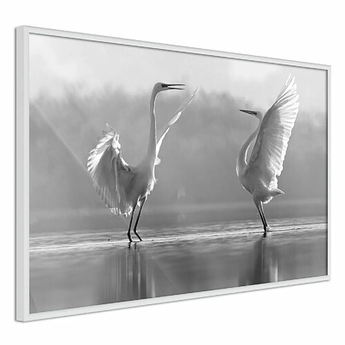 Paris Prix Affiche Murale Encadrée Black and White Herons 45 x 30 cm Blanc