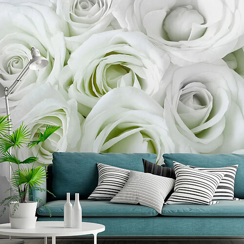 Artgeist Papier peint - Satin Rose (Green) [300x210]