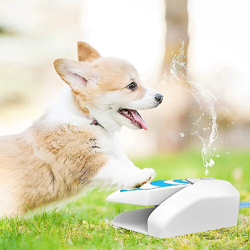 Jouets d'arrosage pour chien en plein air, fontaine pour chien activée par la patte, pour une hydratation rafraîchissante en cas de chaleur