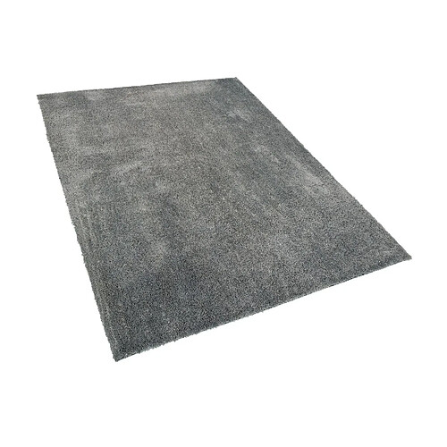 Beliani Tapis 160 x 230 cm gris EVREN