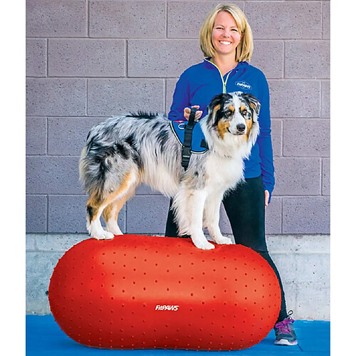 FitPAWS Plate-forme d'équilibre pour animaux de compagnie 50 cm Rouge