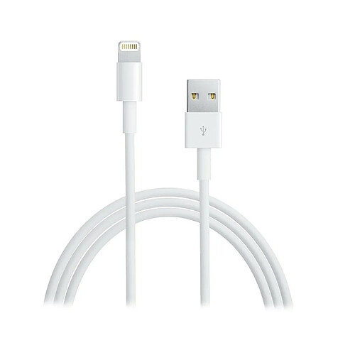 Cable Ewent EW9908 USB 2.0 a Lightning 1m Blanco