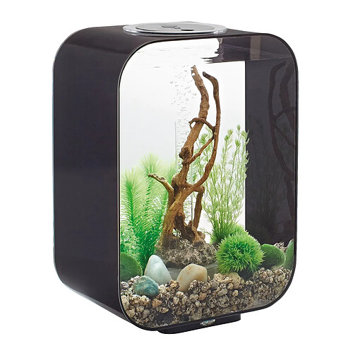 Aquarium décoratif 15l avec cadre noir - Life 15 MCR black - OASE