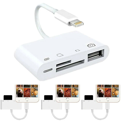 Universal Adaptateur USB OTG 4 en 1 pour lecteur de carte SD TF pour appareil photo.