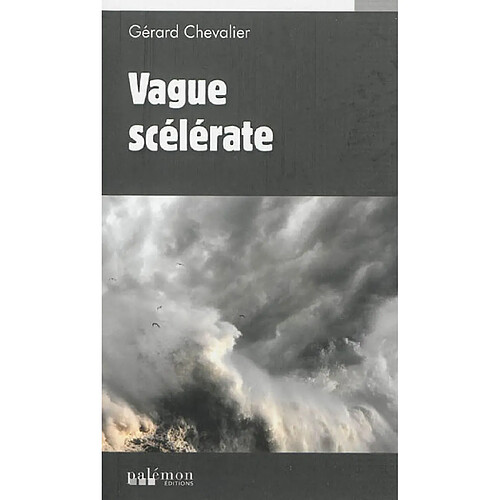 Vague scélérate · Occasion