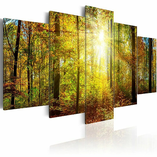 Paris Prix Tableau Imprimé Mystical Forest 100 x 200 cm