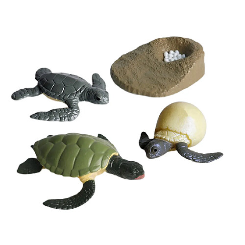 4pcs Miniature Tortue De Mer Simulation Modèle Cycle De Croissance D'animaux Classiques