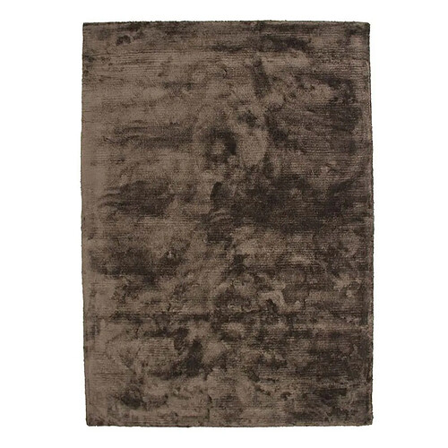 Thedecofactory ART SILK - Tapis en viscose champagne 133x190