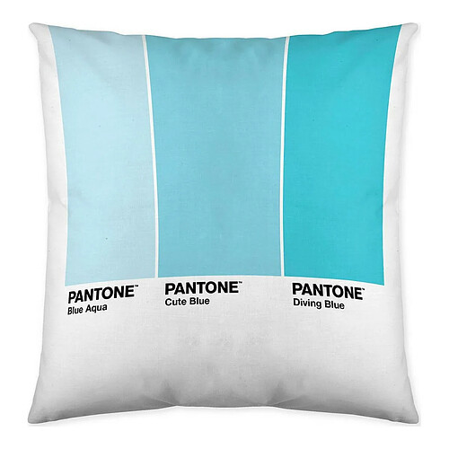 Pantone Housse de coussin Ombre Réversible (50 x 50 cm)