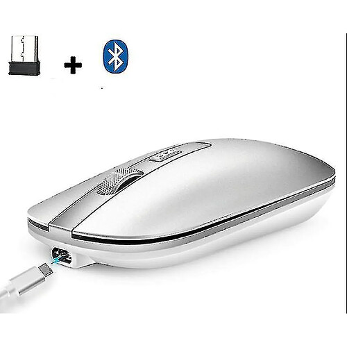 Universal 2,4 g souris sans fil, rechargeable Bluetooth 5.0 Gaming Optical Mouseï¼ˆsilverï¼ ‰