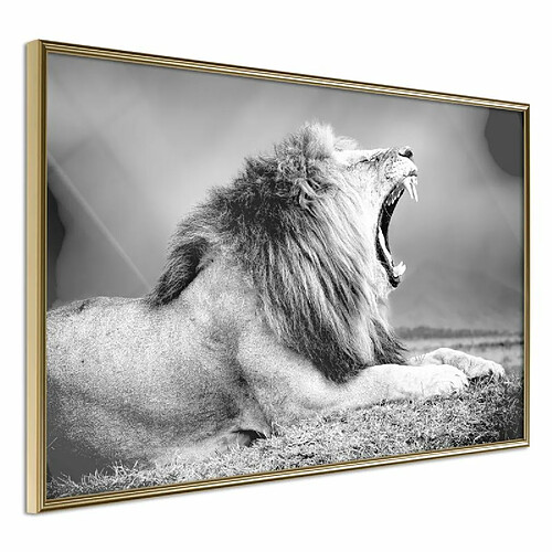 Paris Prix Affiche Murale Encadrée Yawning Lion 30 x 20 cm Or