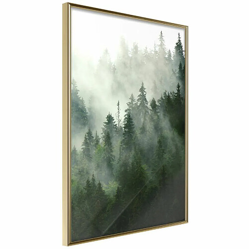 Paris Prix Affiche Murale Encadrée Steaming Forest 30 x 45 cm Or