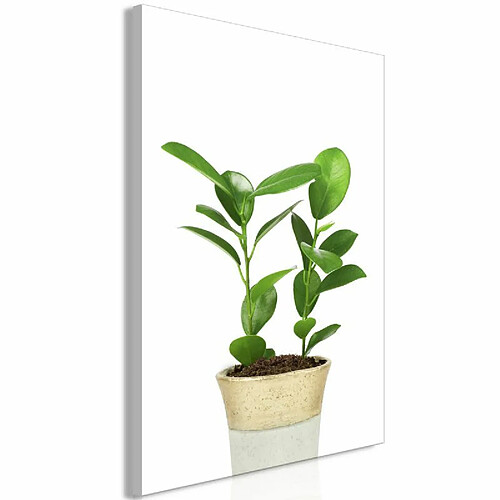 Paris Prix Tableau Imprimé Plant in Pot 40 x 60 cm