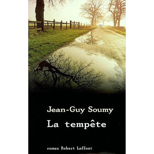 La tempête · Occasion