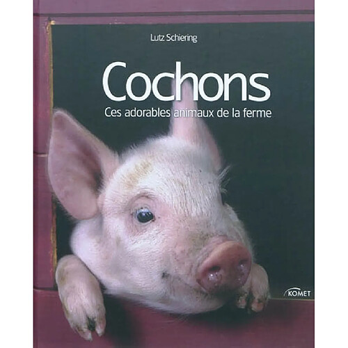 Cochons : ces adorables animaux de la ferme