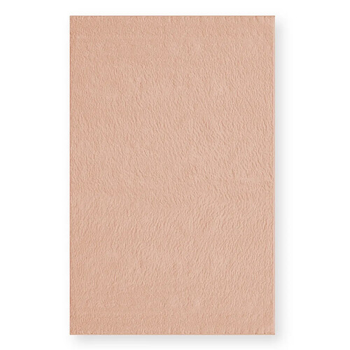 EPIKASA Tapis de Salon Rectangulaire Plush