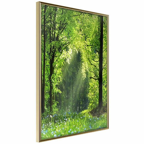 Paris Prix Affiche Murale Encadrée Forest Path 30 x 45 cm Or