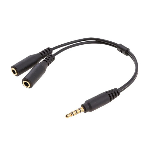 Adaptateur Femelle 2.5mm Mâle Vers 3.5mm Et Micro Séparateur 3.5mm Et Câbles Audio