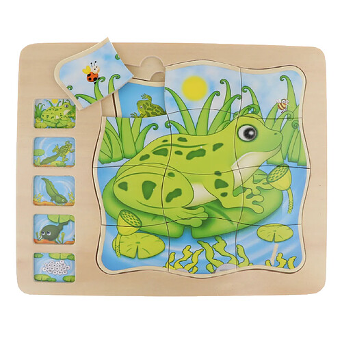 Grenouille en bois bloc animaux Puzzle Conseil Montessori jouet assorti