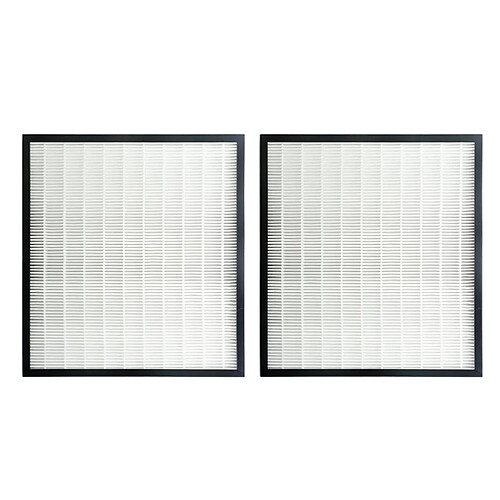 Filtres HEPA De Remplacement 2 Pièces Pour Accessoires De Purificateur D'air à FZ-F30HFE Pointu