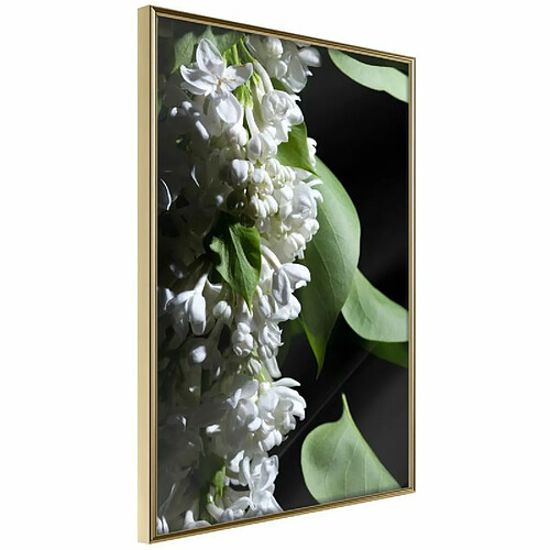 Paris Prix Affiche Murale Encadrée Fragrant Spring 40 x 60 cm Or