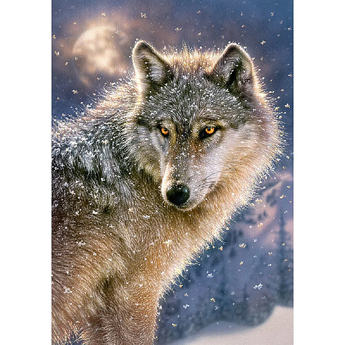 Castorland Puzzle 500 pièces : Loup solitaire