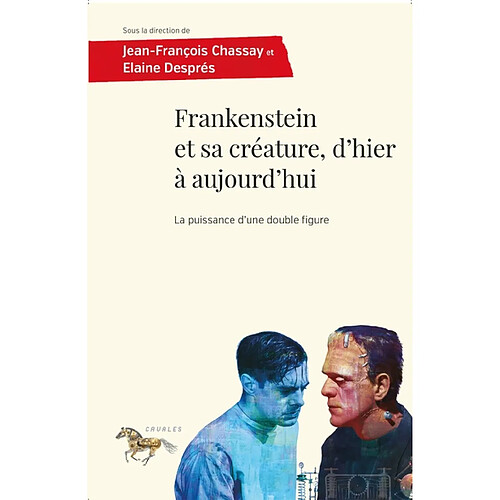 Frankenstein et sa créature, d'hier à aujourd'hui : la puissance d'une double figure · Occasion