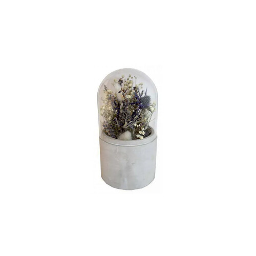 Naturaly'S Verrine cloche fleurs séchées Bleu.