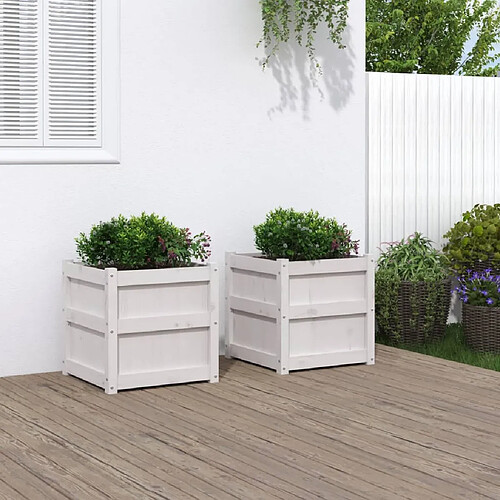 vidaXL Jardinières 2 pcs blanc bois de pin massif